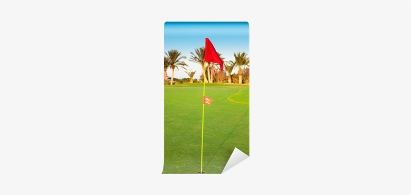 Lawn, transparent png #1998870