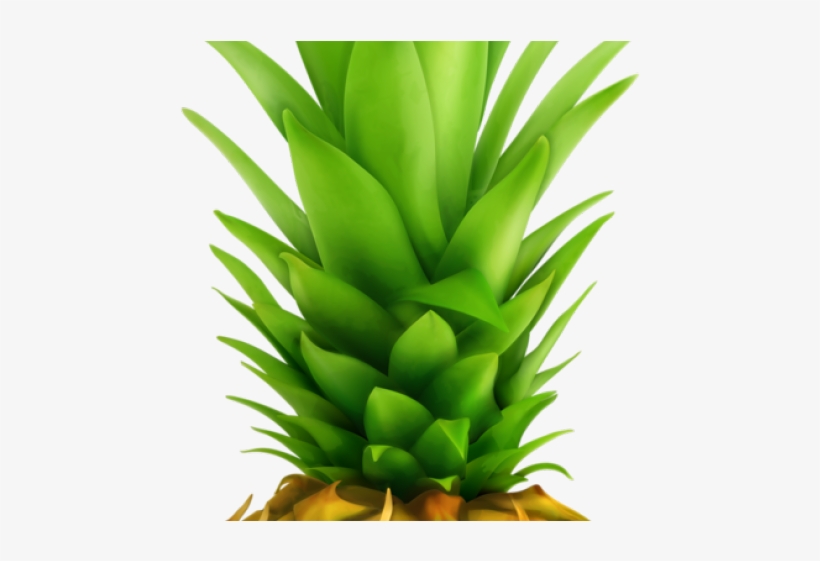 Pineapple Clipart Green Fruit - Pineapple Top, transparent png #1999495