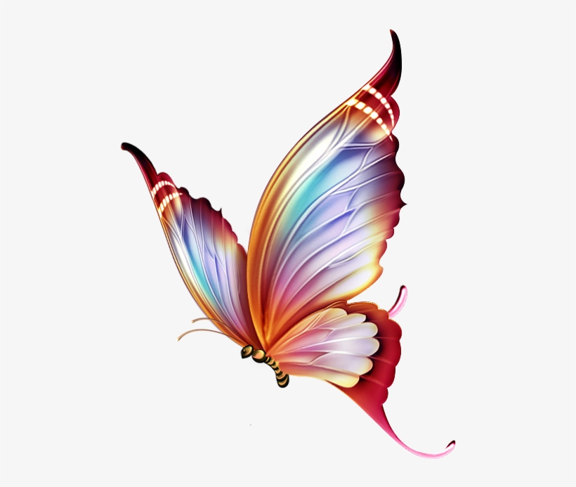 Imagen Colorful Butterfly Tattoo, Butterfly Colors, - Butterfly Colour Pencil Drawings, transparent png #20056