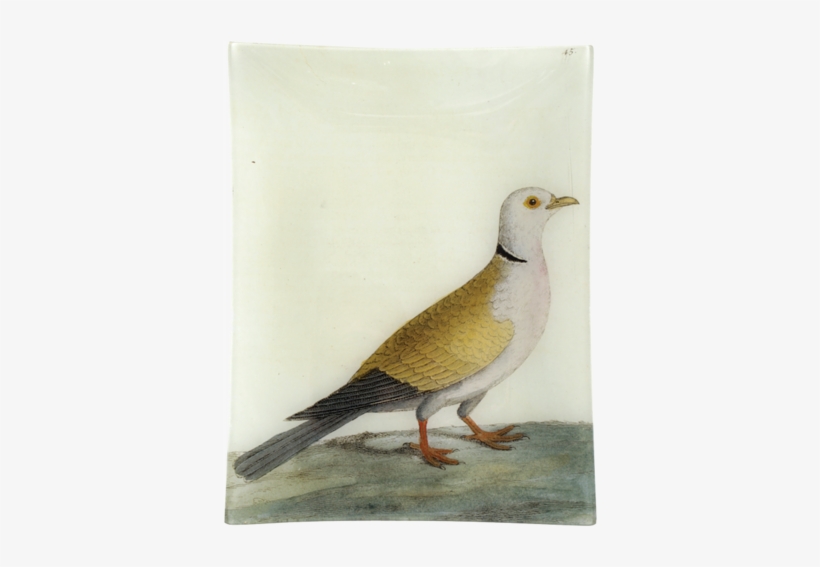 Turtle Dove - Decoupage, transparent png #20148