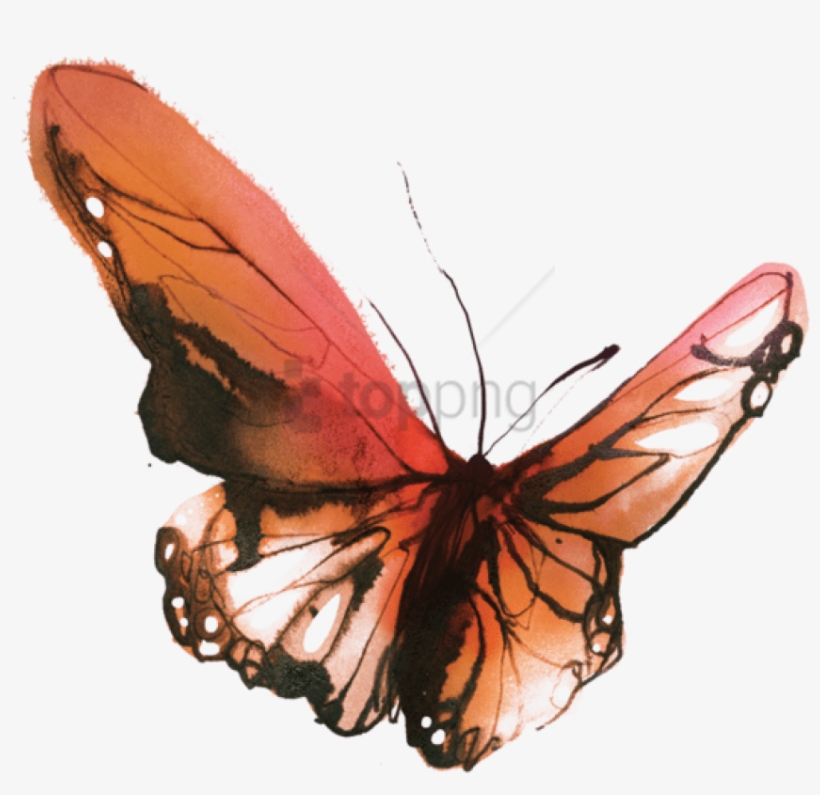 Sunset Butterfly - Tattly Temporary Tattoos, Watercolor Butterflies, transparent png #20251