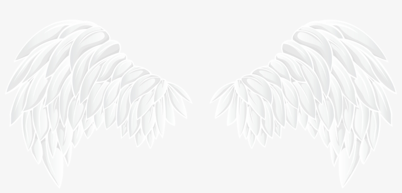 Wings Clipart Png, transparent png #20272