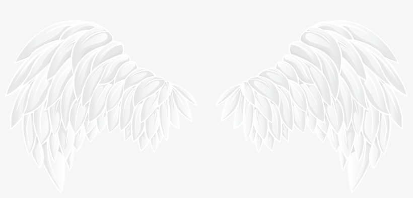 Wings Clipart Png, transparent png #20272