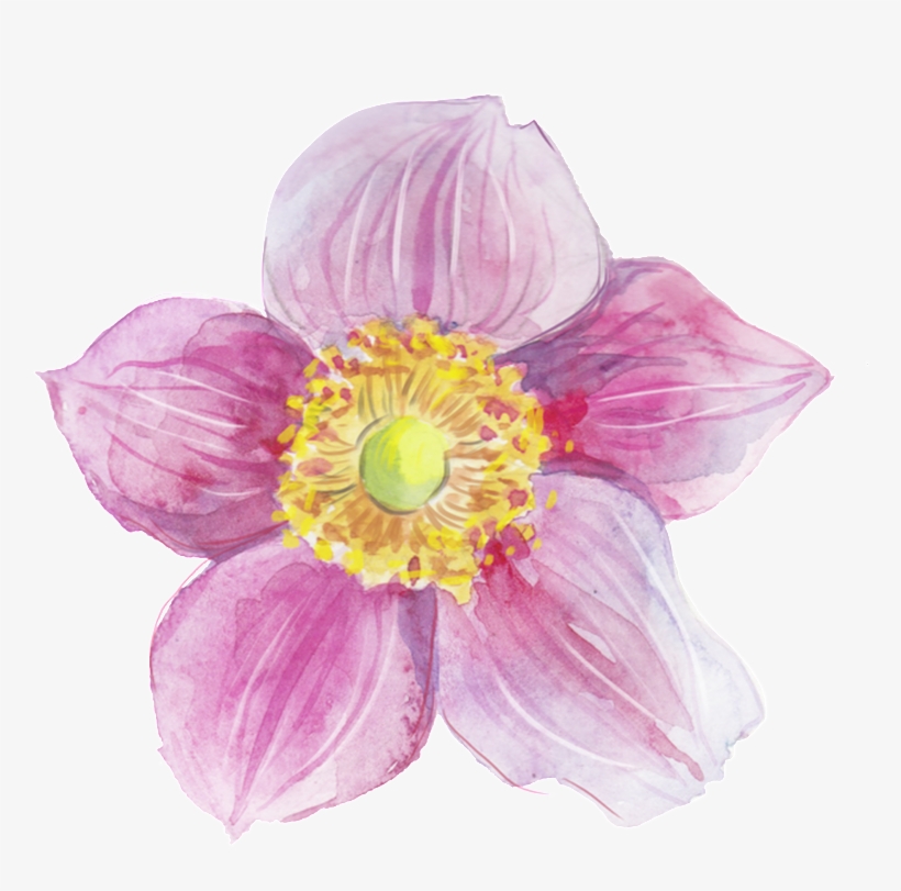 This Graphics Is Pink Heart Flower Transparent Decorative - Watercolor Painting, transparent png #20739