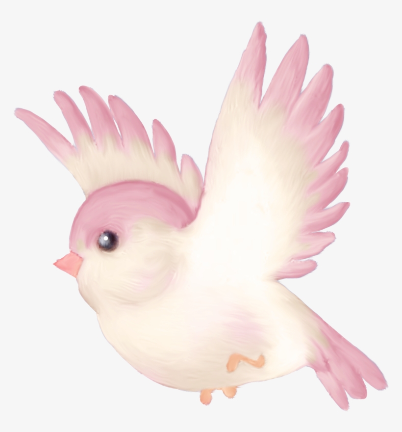 Florju Elmt Png Pinterest Bird Clip Art - Cute Pink Bird Cartoon, transparent png #20760
