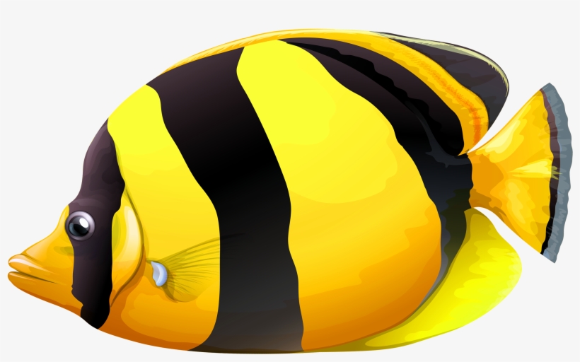 Vector Black And White Library Yellow Chaetodon Butterfly - Fish Png, transparent png #20840