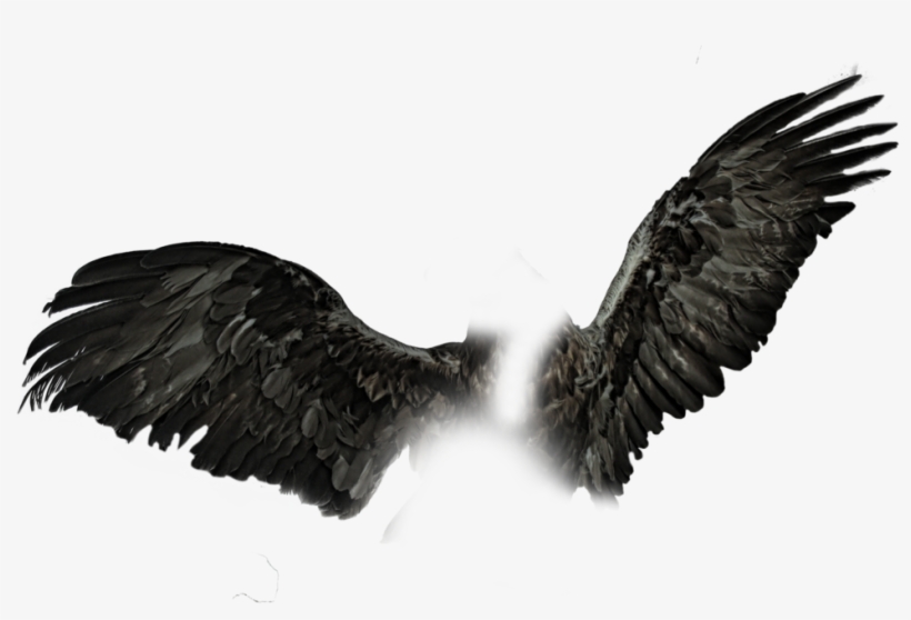 Dark Wings Png Black Wings Pngs - Wings Png For Picsart, transparent png #20886