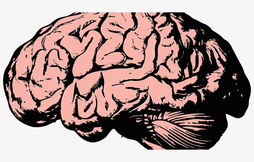 Brain And Spine Infections Archives - Feeling Cerebral Badge Reel, Vintage Human Brain Badge, transparent png #21009