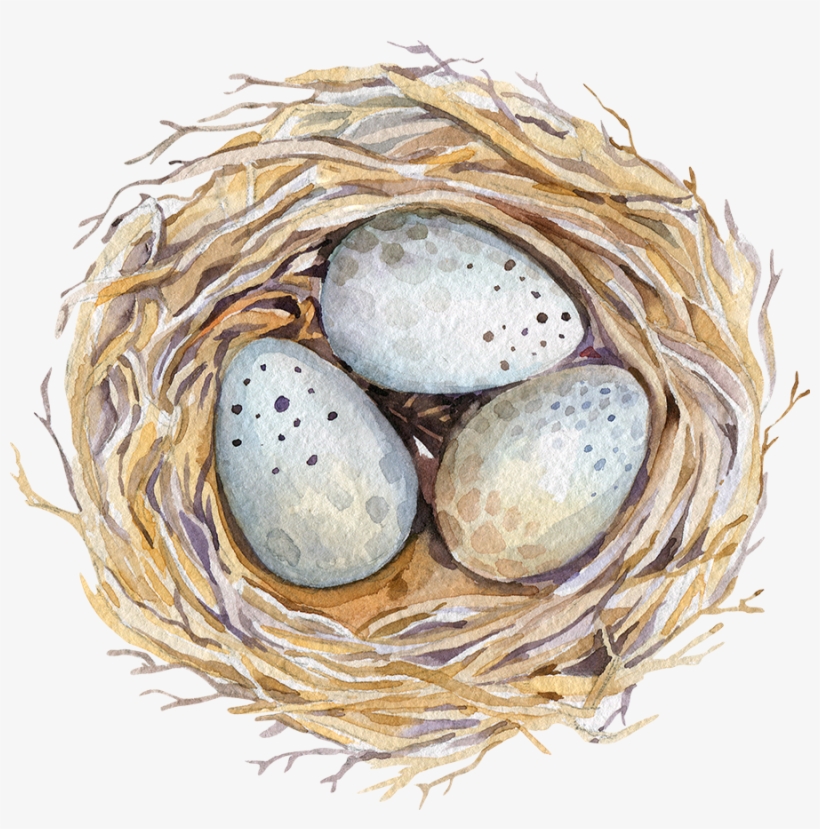 Drawing Egg Watercolor - Easter Watercolour, transparent png #21525