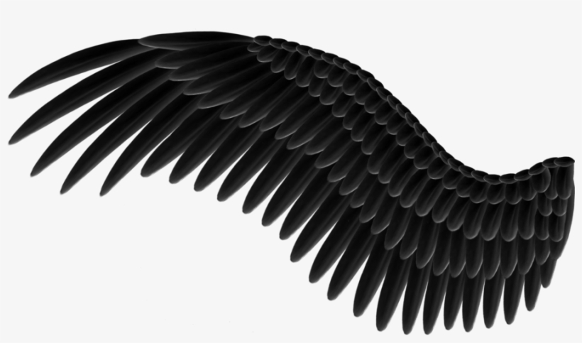 Wings Png - Black Wing Png, transparent png #21948
