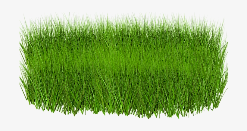 Green Grass In Png, transparent png #22539