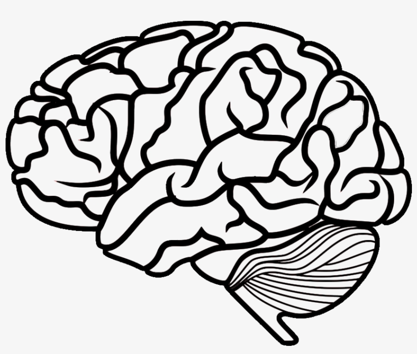 The Basics On Medical Ozone - Black Brain, White Brain By Gavin Evans, transparent png #22599