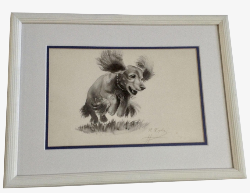 Kepler, Playful Dachshund Doxin Puppy Dog Jumping, - Yorkshire Terrier, transparent png #22638