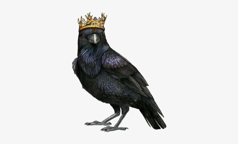 Eyed Raven Modfather Pinball - Raven Illustration, transparent png #22797