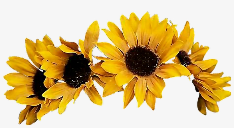 Sunflower Flowercrown Coronadeflores Flowers Floresfall - Yellow Flower Crown Png, transparent png #22839