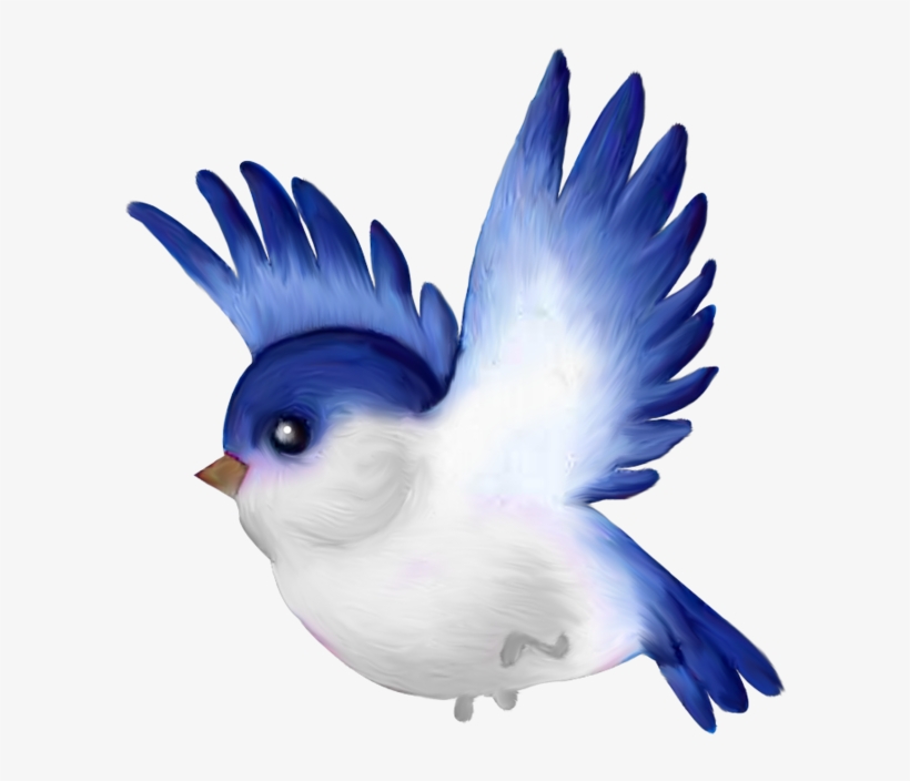 Oiseaux Birds Png Pinterest Oiseauxbirdspng - Bird Cartoon, transparent png #22862