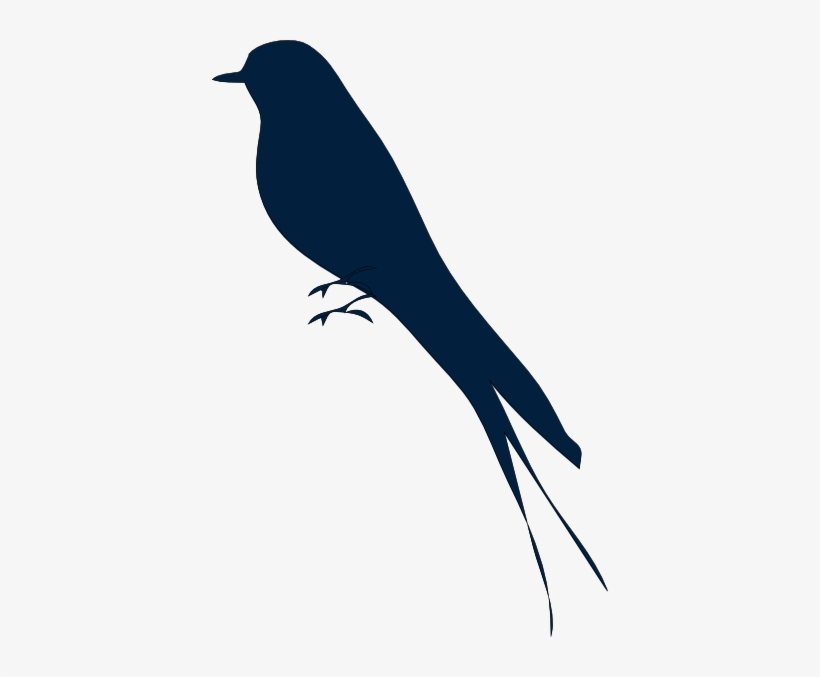 How To Set Use Bird Silhouette Svg Vector, transparent png #23027