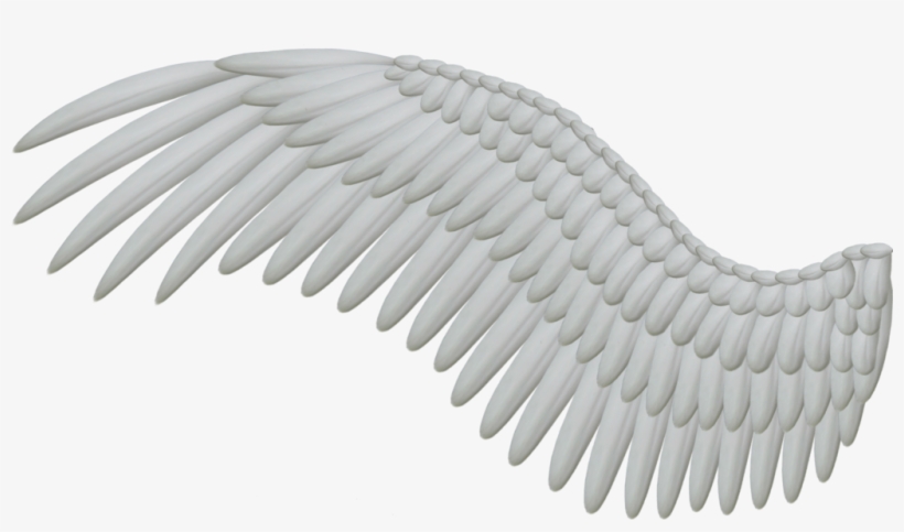 Wings Png - Bird Wings Png, transparent png #23049