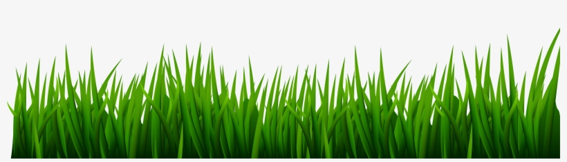 Transparent Line Of Grass, transparent png #23096