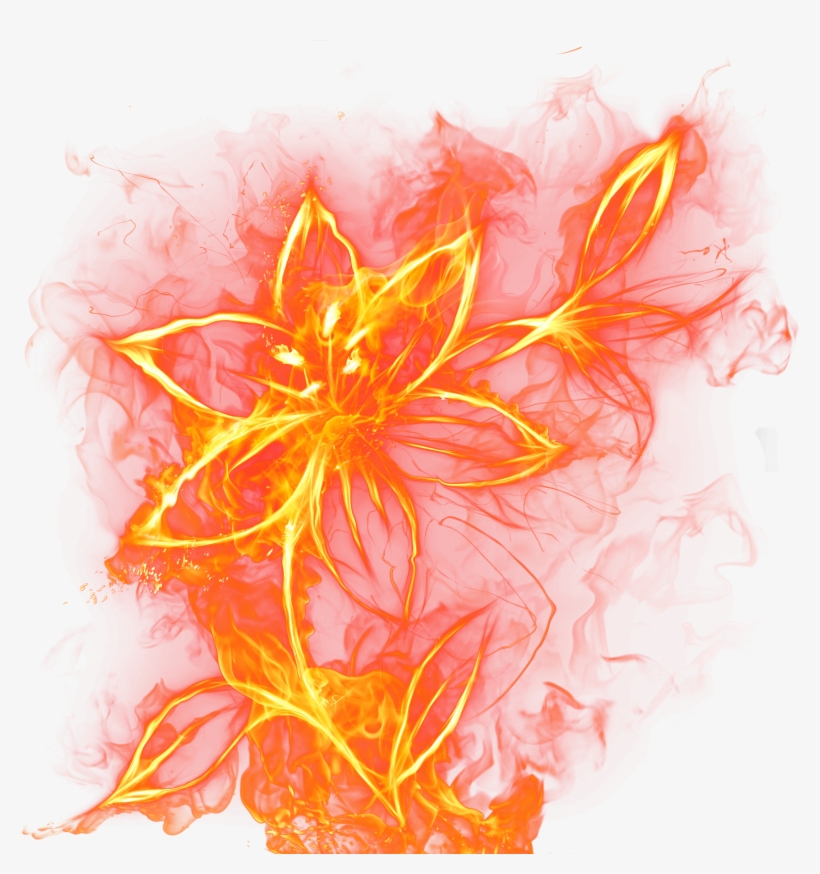 Beautiful Flower Png Picture Projects To Try - Becoming A Mother On Fire: A Guide F, transparent png #23155