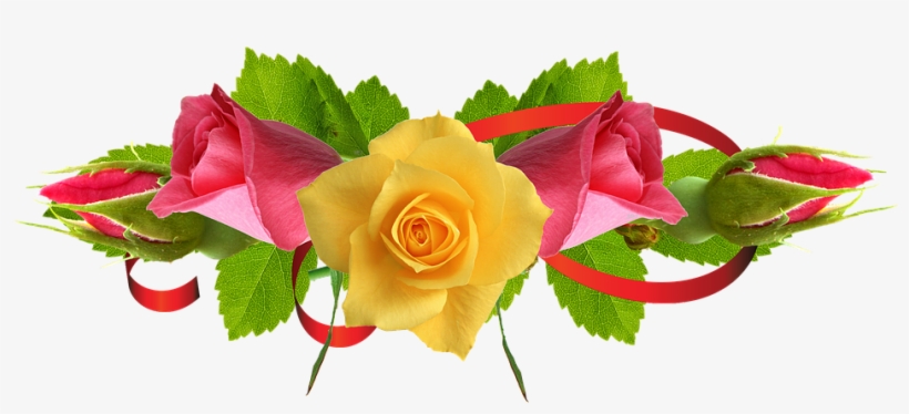 Yellow Rose Flower Free Png Transparent Images Free - Yellow Rose Flower Png, transparent png #23421