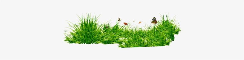 Png Format Grass Png Hd, transparent png #23577