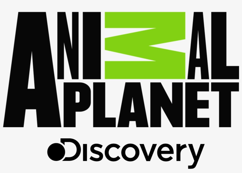 Animal Planet - Animal Planet Logo Png, transparent png #23613