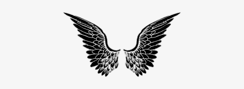 24 Images About - Wings Graffiti Fundo Branco, transparent png #23880