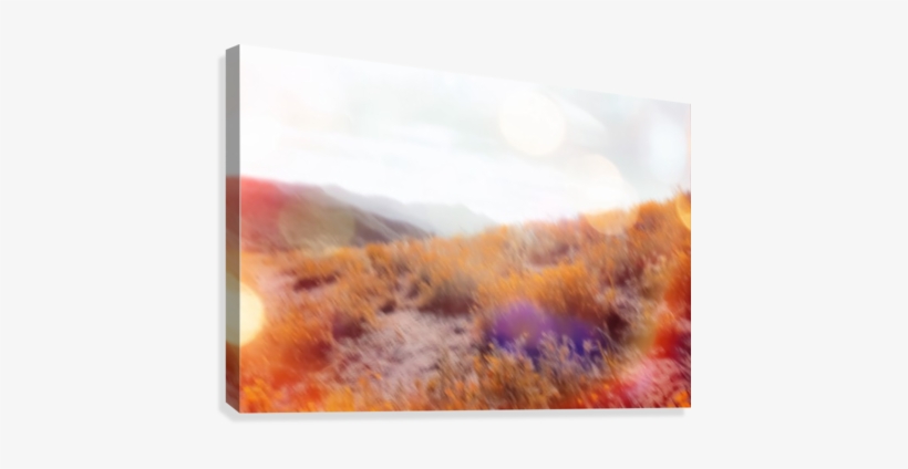 Yellow Flower Field On The Mountain With Summer Light - Canvas Print, transparent png #24115