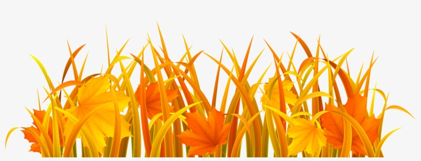 Autumn Grass Png Clipart Image - Autumn Grass Clipart, transparent png #24463