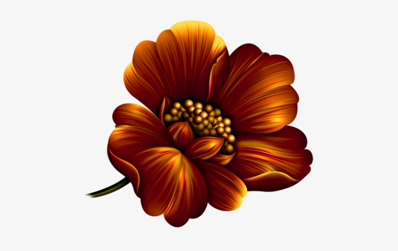 Garden Flames - Flower, transparent png #24827
