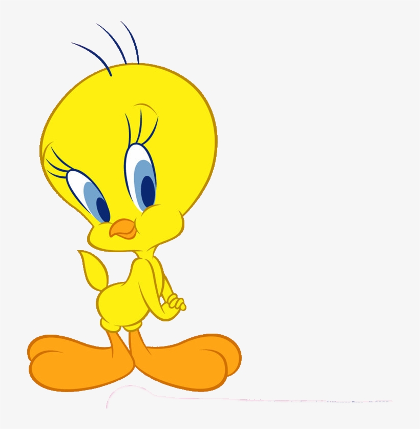 Tweety-bird - Cartoon Drawing With Colour, transparent png #24968