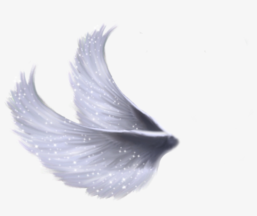 Wings Png 5 By Moonglowlilly - Fairy Wings Png Transparent, transparent png #24996