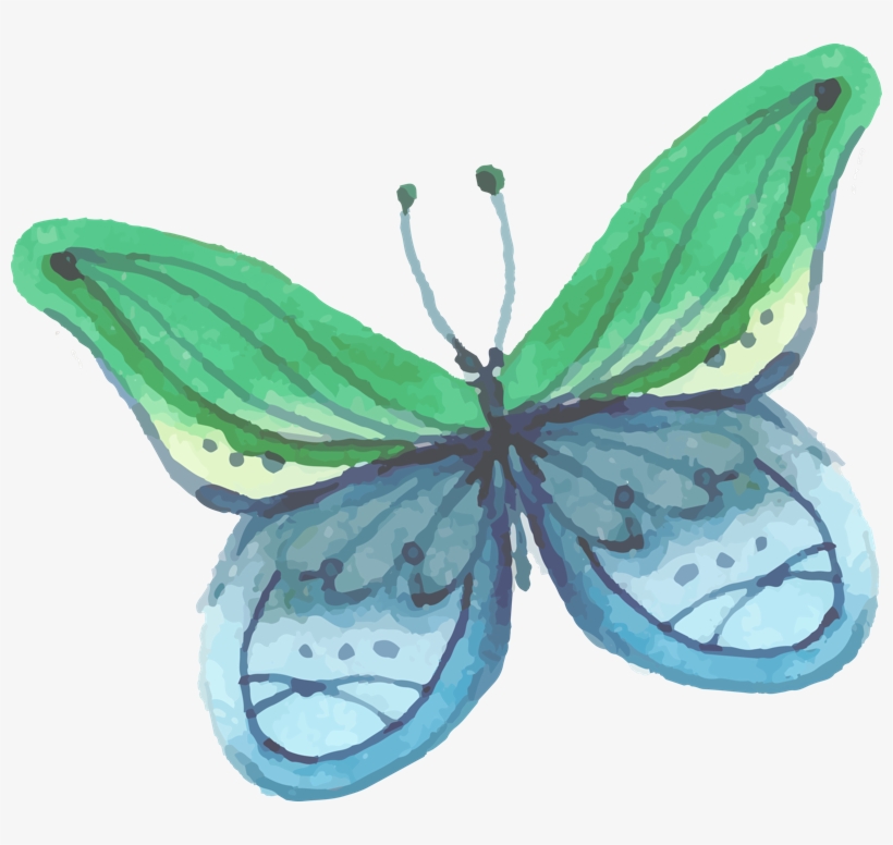 Butterfly 1 - Mariposa Pintura, transparent png #25058