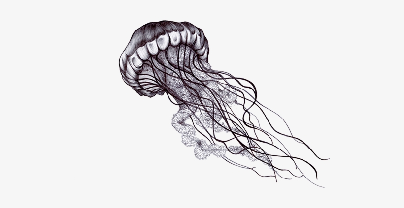 25 Awesome Jellyfish Tattoo Ideas for Men  Women in 2023