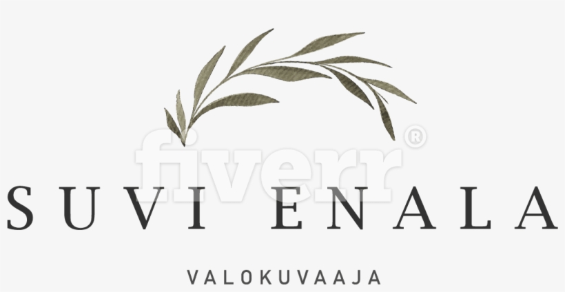 Graphics, transparent png #25361