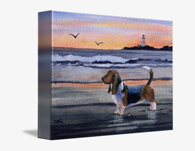 Basset Hound By David Rogers Watercolor Art - Watercolor Painting, transparent png #25408
