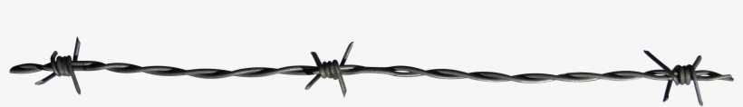 Prison Vector Razor Wire - Barbed Wire, transparent png #25458