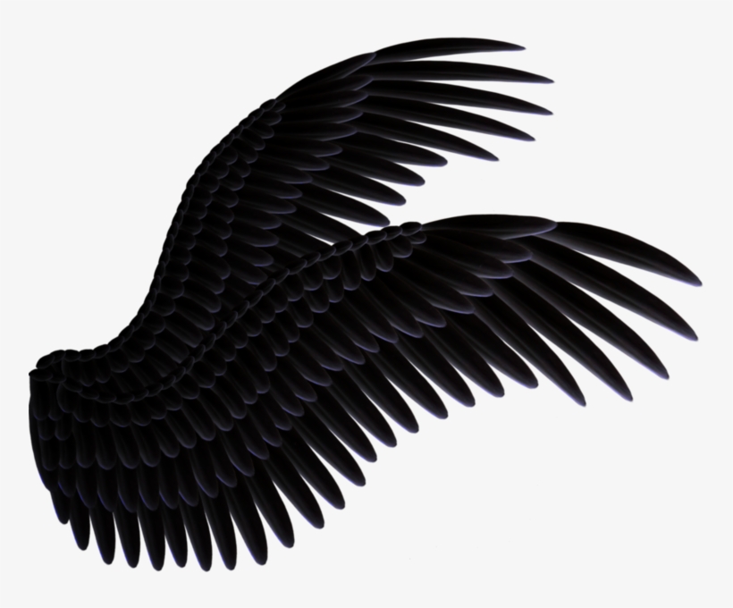 Share This Image - Alas Negras Png, transparent png #25611