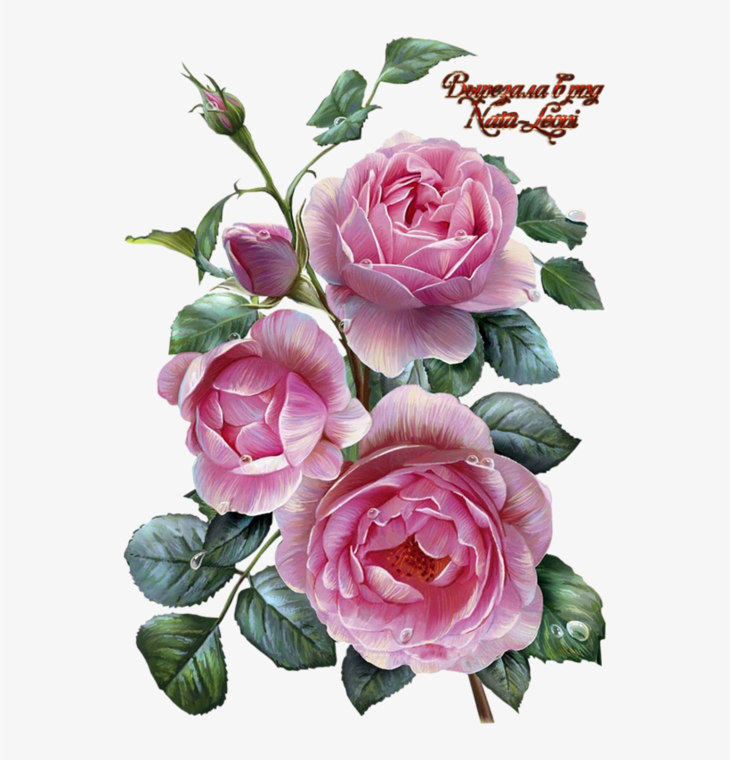 Фото, Автор Иришка-манюшка На Яндекс - Decoupage Flowers, transparent png #25631