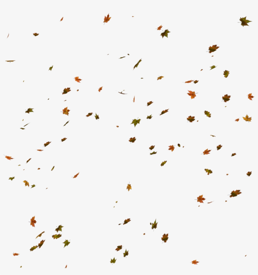 Unrestricted - Autumn Leaves Fall Png, transparent png #25759