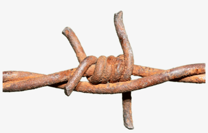 Barbed Wire Rusted Knot - Barbed Wire Transparent Png, transparent png #25781