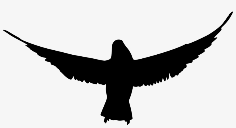Png File Size - Bird Silhouette Png, transparent png #25869