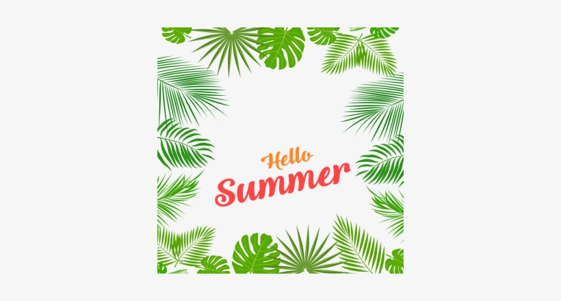 Summer Aloha Tropical Leaves Frame Summer Aloha Tropical Leaves Frame Png Transpa