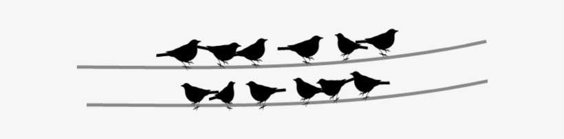 Small - Black And White Bird Png, transparent png #26270