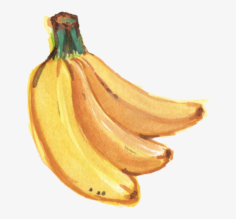 Clip Art Royalty Free Saba Banana Painting Transprent - Watercolor Banana, transparent png #26394