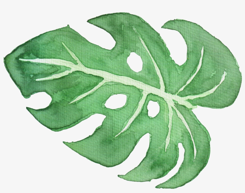 Tropical Leaf Watercolor Png - Watercolor Painting, transparent png #26571