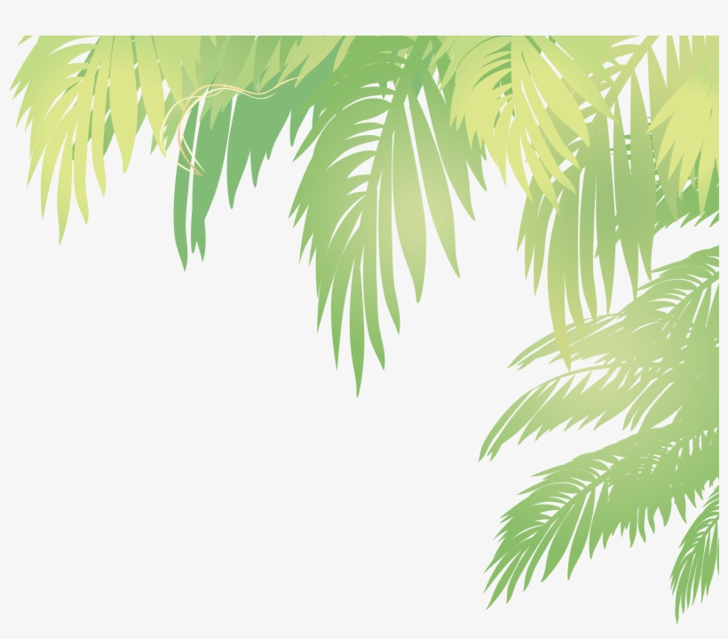 Arecaceae Leaf Euclidean Vector - Coconut Leaves Vector Png, transparent png #26640
