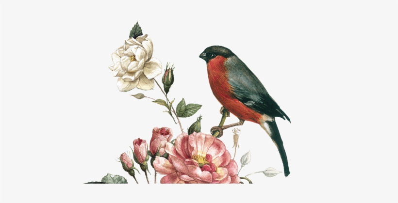 Half Leather Boundsketchbook - Budapest, transparent png #27205