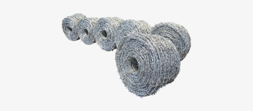 Barbed Wire - Barbed Wire Png, transparent png #27272